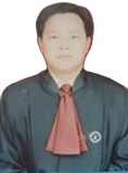 毕家军