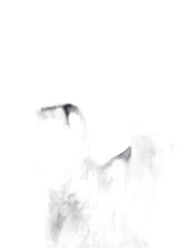 黄长云